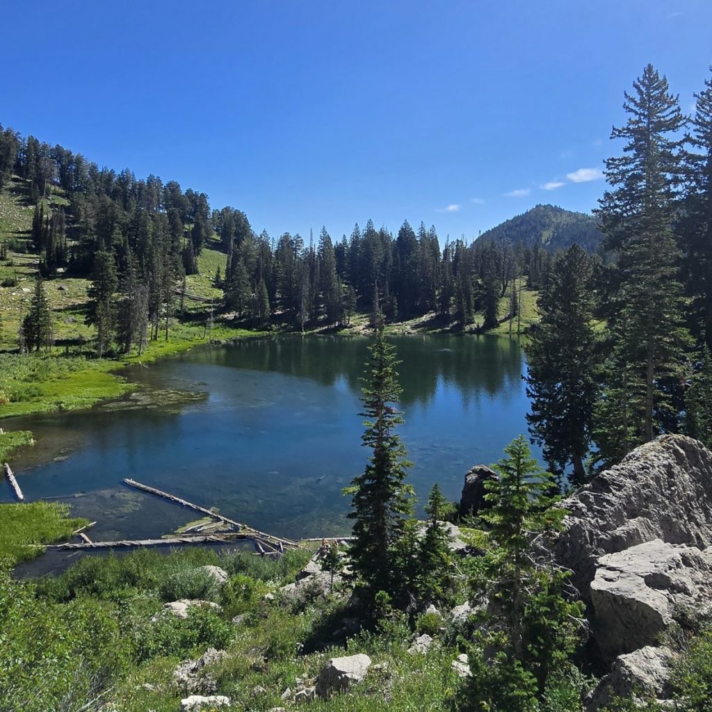 White Pine Lake